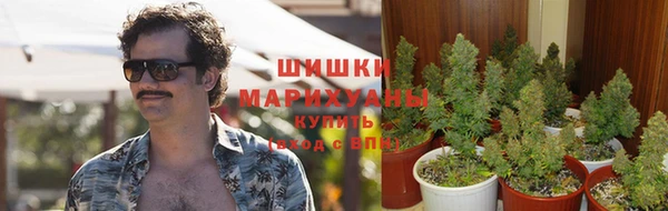 мяу мяу мука Аркадак
