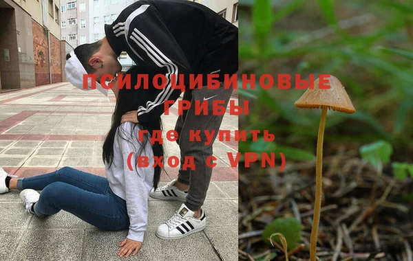 МДПВ Волоколамск