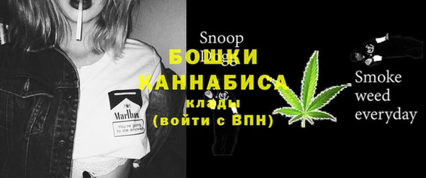 apvp Арсеньев