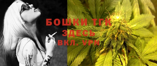 мяу мяу мука Аркадак
